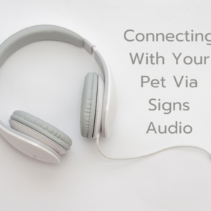 connecting-with-your-pet-via-signs