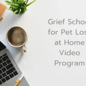 Grief school for pet loss at home video program